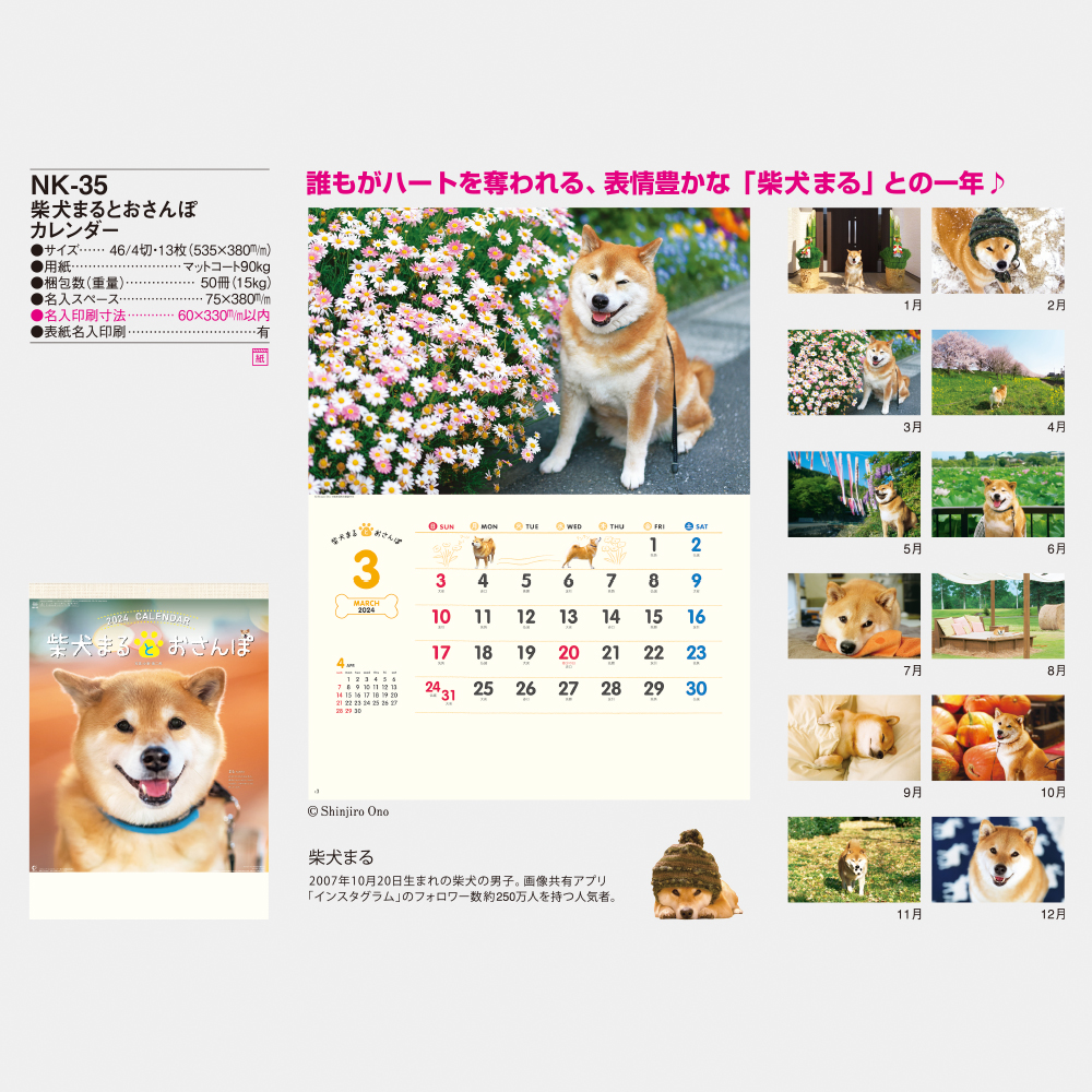 NK-35 柴犬まるとおさんぽカレンダー 3