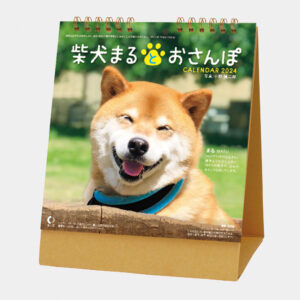 NK-529 卓上カレンダー 柴犬まるとおさんぽ 1