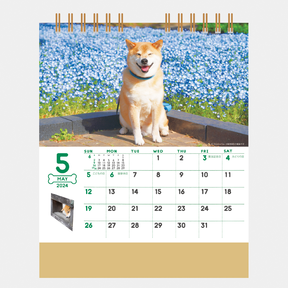 NK-529 卓上カレンダー 柴犬まるとおさんぽ 2