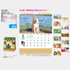 NK-529 卓上カレンダー 柴犬まるとおさんぽ 3