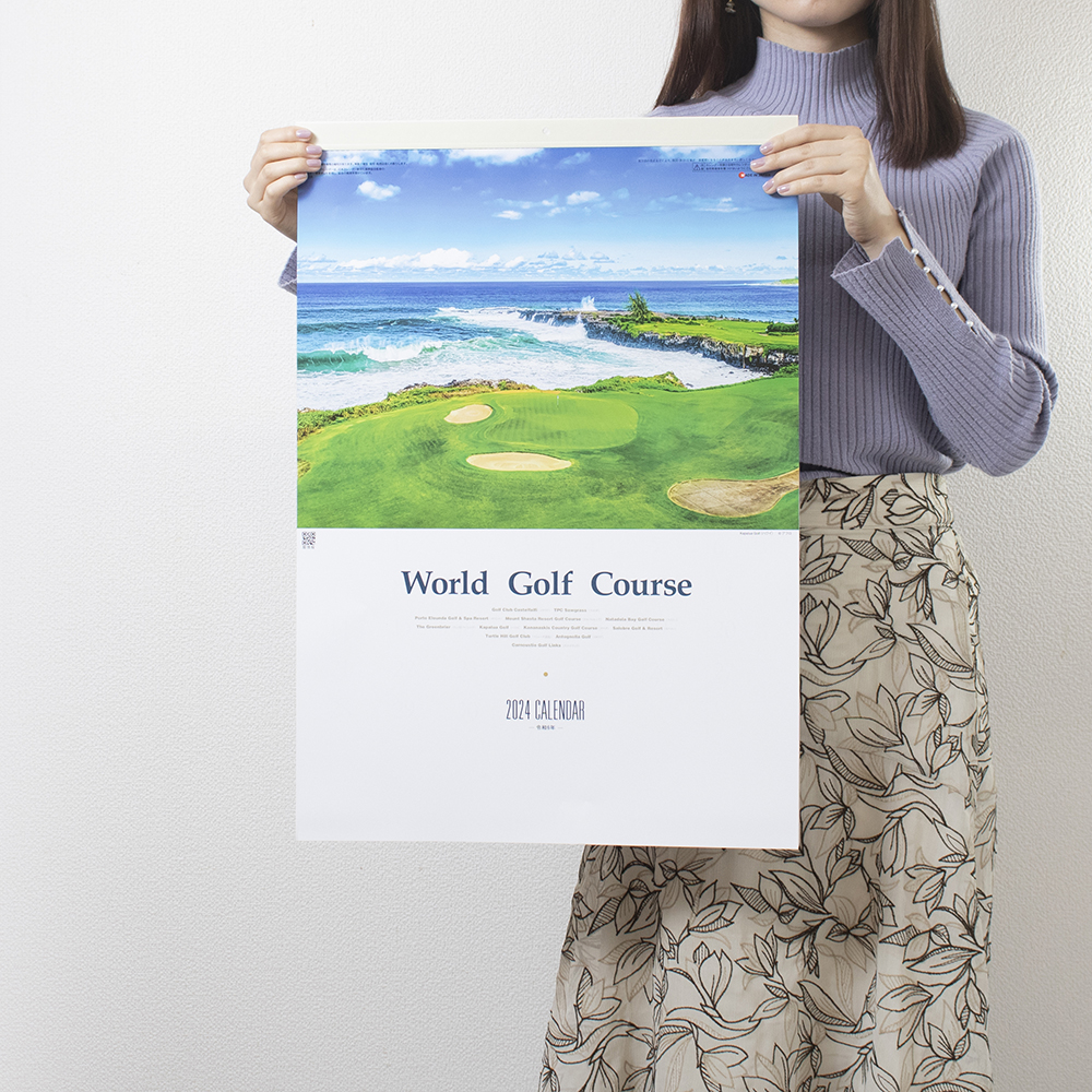 SG-463 世界のゴルフコース 3