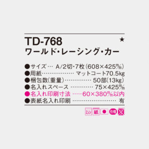 TD-768 ワールドレーシングカー 6
