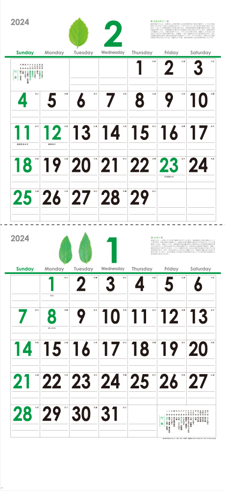 YK-652 エコグリーンカレンダー（2ヶ月表示）