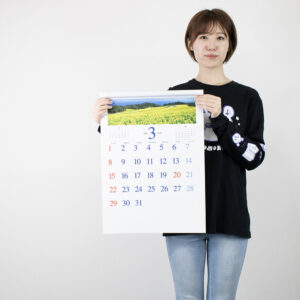 ic-255　季節のパノラマ（小） 4