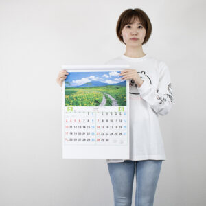 MS-320　美しい日本 4