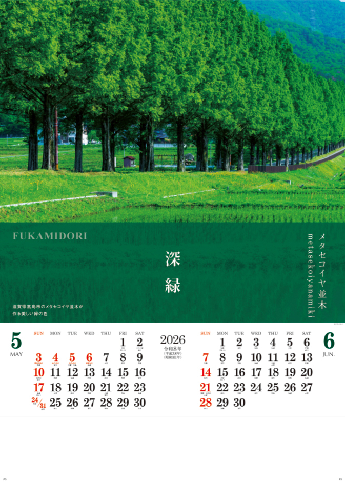 NA-125 日本の【色】照景