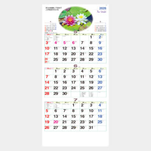 NA-139 ファインスケジュール 1