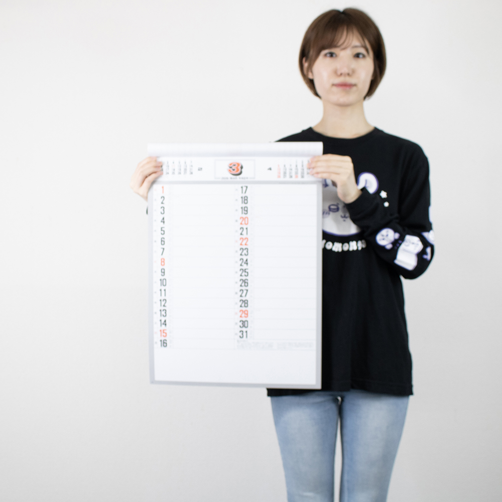 NB-132　予定表文字月表 4