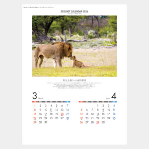NC-5　エコロジーカレンダー 守ろう地球の自然 1