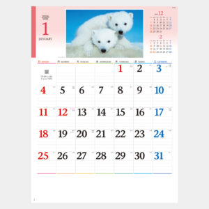 NK-104　かわいい動物たち 1