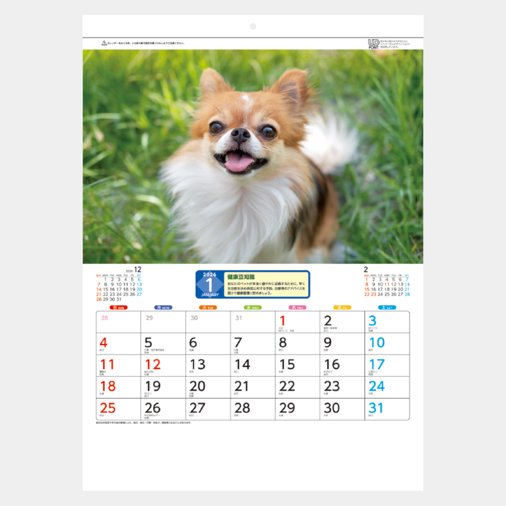 SA-341　リトル・ペット 1