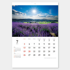 SB-027　輝く太陽 1