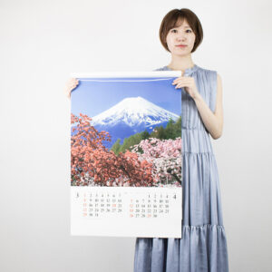 SB-250 富士山 世界文化遺産 4