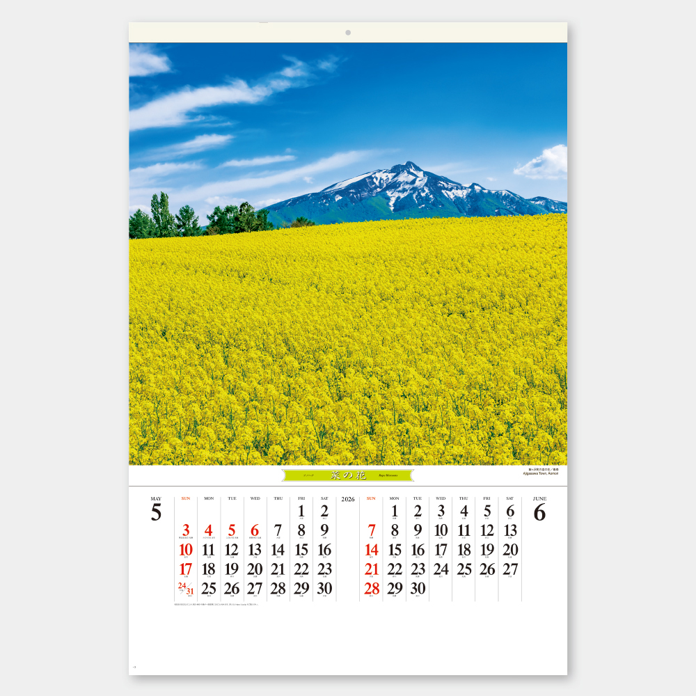 SB-253　フィルム花紀行 1