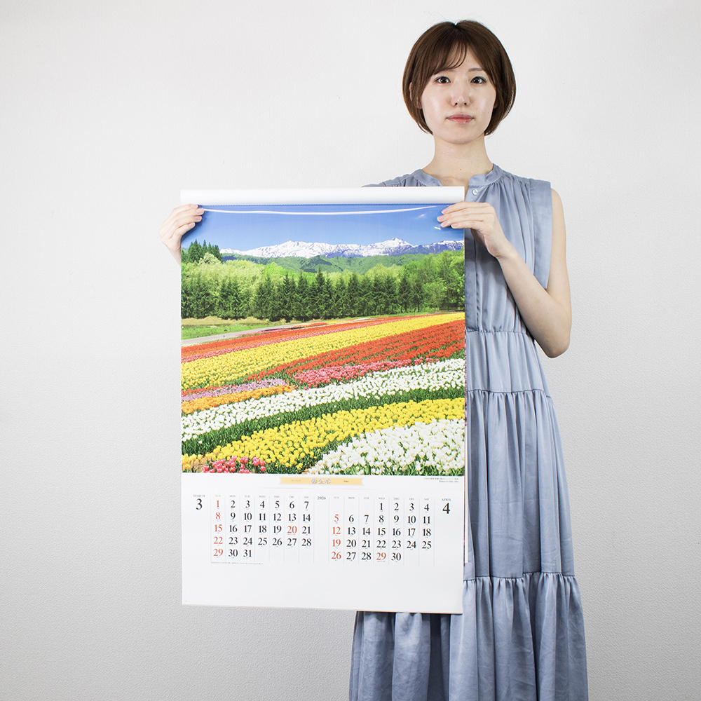 SB-253　フィルム花紀行 4