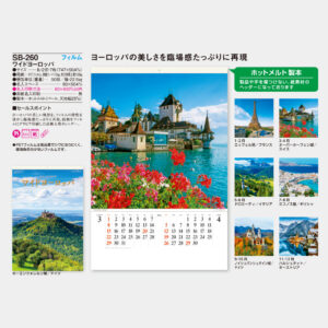 SB-260　フィルム ワイドヨーロッパ 5