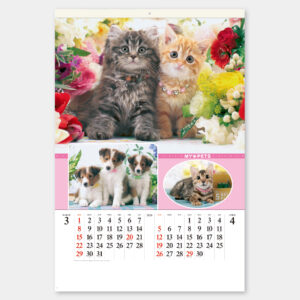 SB-270　フィルム マイペット 1