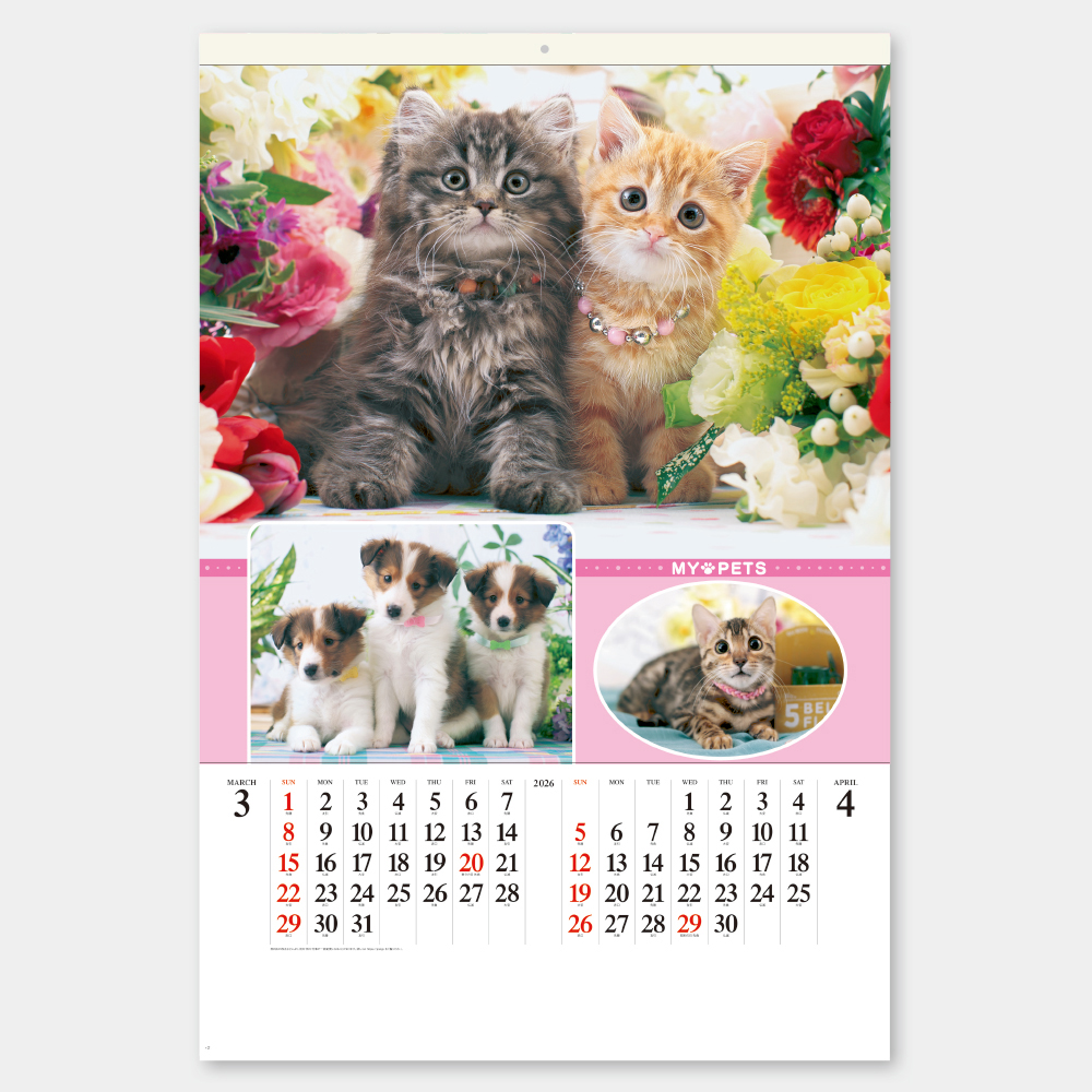 SB-270　フィルム マイペット 1