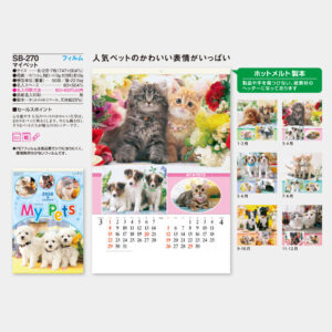 SB-270　フィルム マイペット 5