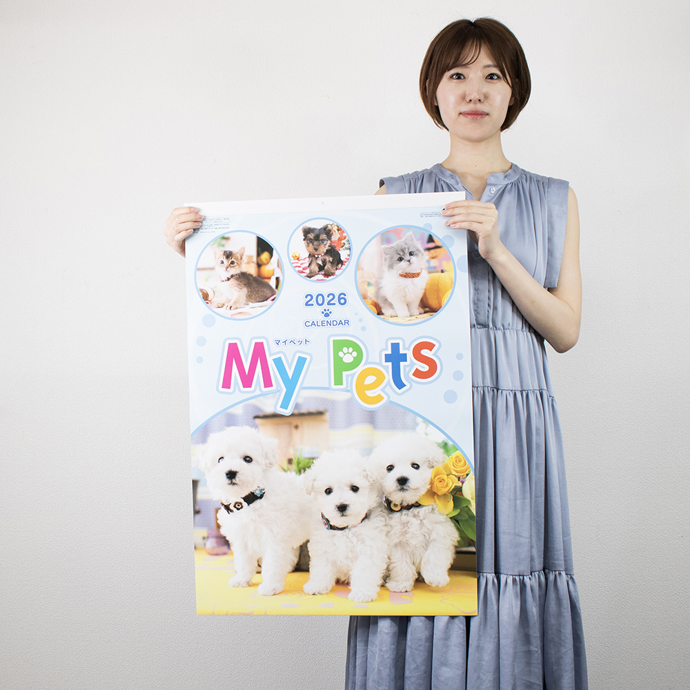 SB-270　フィルム マイペット 3