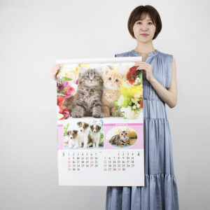 SB-270　フィルム マイペット 4