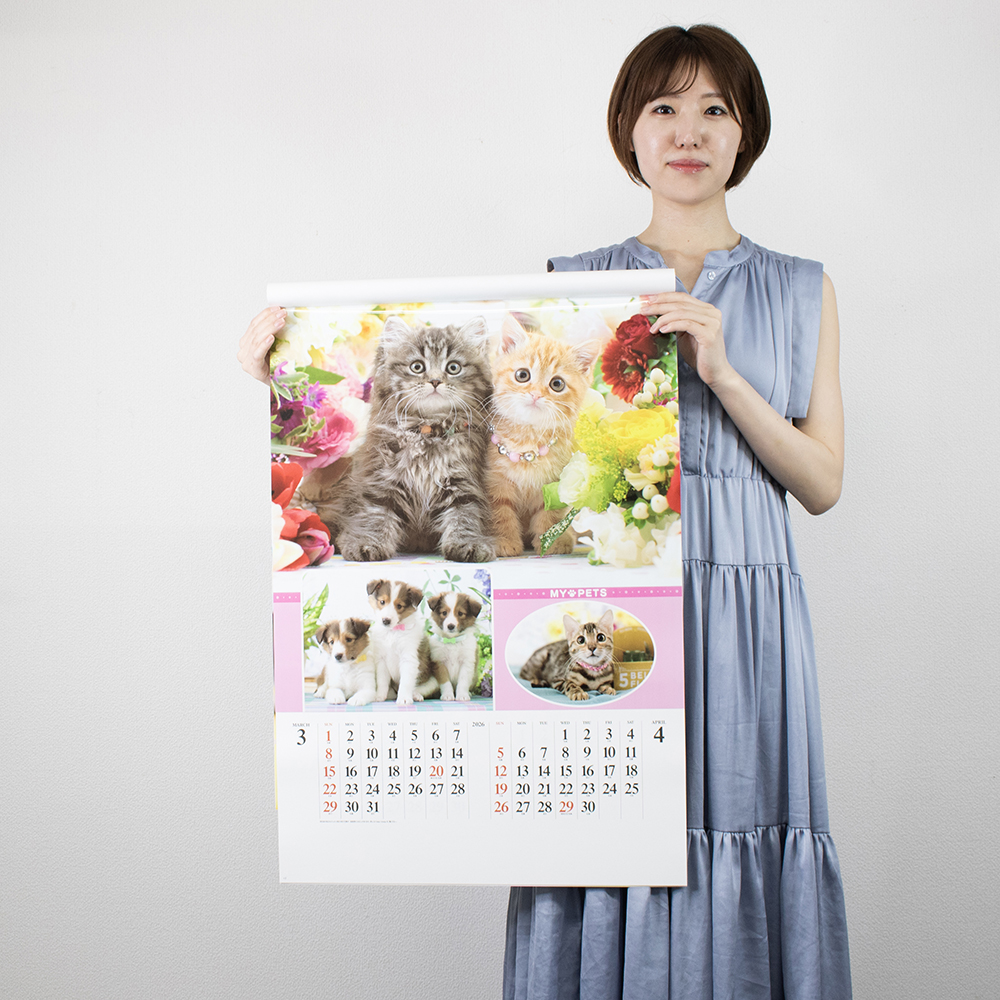 SB-270　フィルム マイペット 4