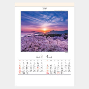 SG-207　四季六彩 1