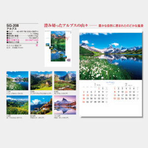 SG-208　アルプス 5