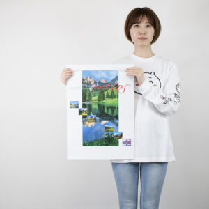 SG-208　アルプス 3