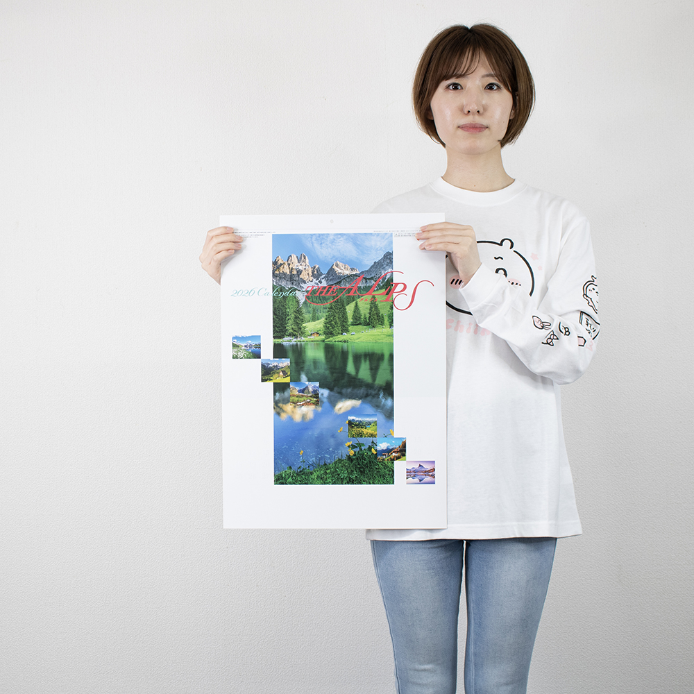 SG-208　アルプス 3