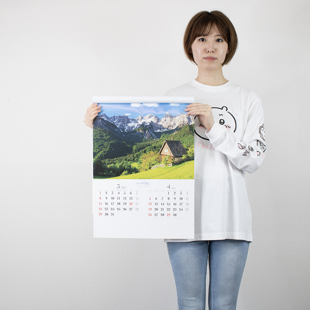 SG-208　アルプス 4