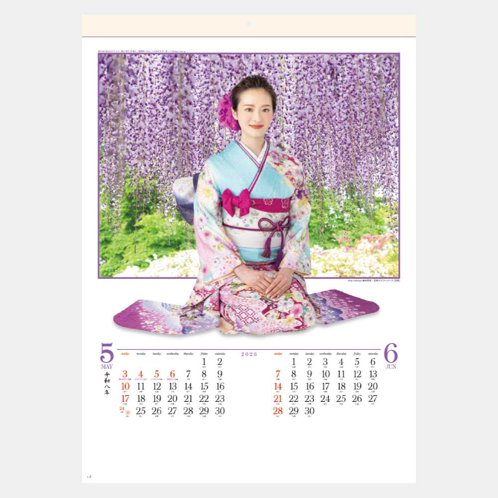 【未開封新品】アンシネ　2018壁かけカレンダー 未開封】2026年サントリーウェルネス 壁掛けカレンダー - メルカリ