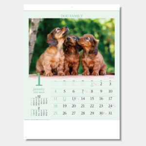 SG-295　ドッグファミリー 1