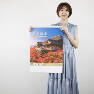 SG-419 世界遺産 ミシン目入 3