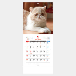 SM-105 Sweet Cats(猫) 1