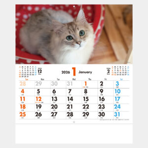 TC-3　メール便　ペットカレンダー 1