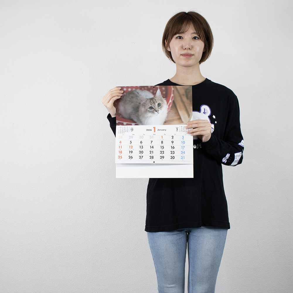 TC-3　メール便　ペットカレンダー 3