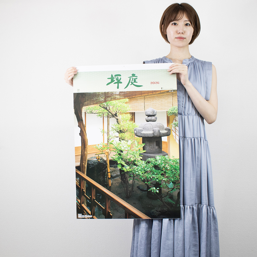 TD-511　トーハンDX 坪庭 フィルム 3