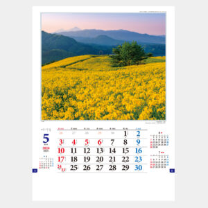 TD-630　日本の抒情 1