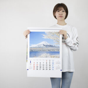 TD-630　日本の抒情 4