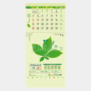 TD-787　グリーン3ヶ月eco 上から順タイプ 2