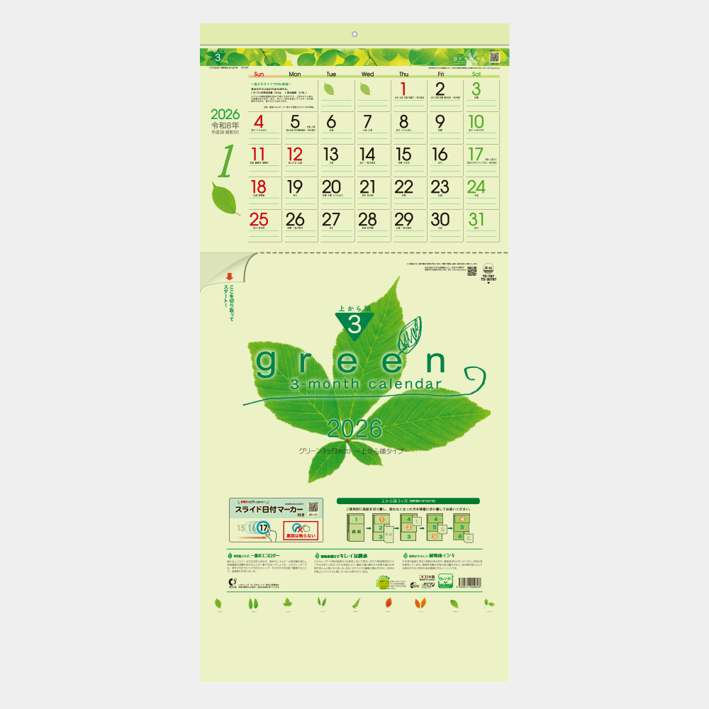 TD-787　グリーン3ヶ月eco 上から順タイプ 2