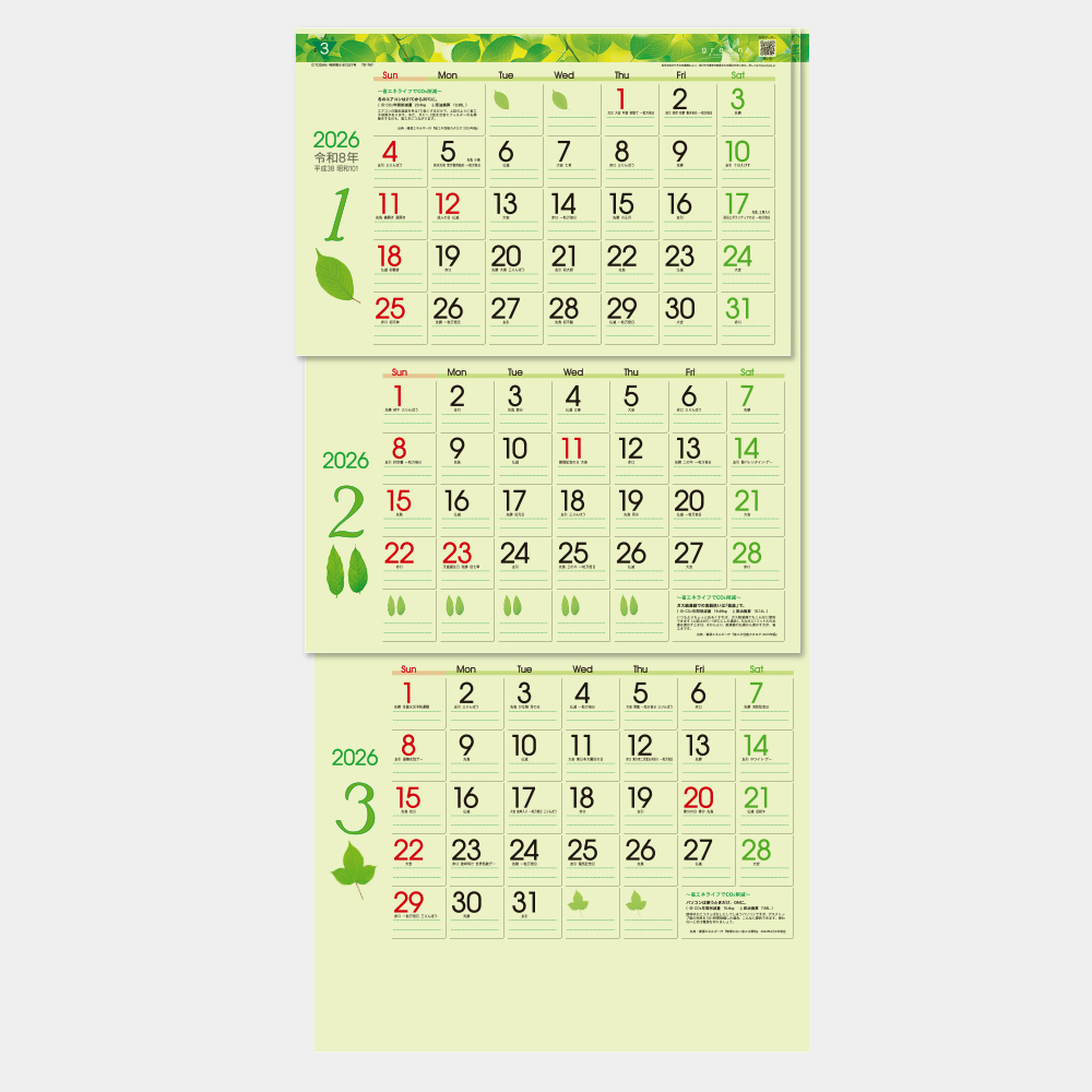 TD-787　グリーン3ヶ月eco 上から順タイプ 1