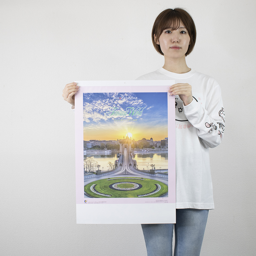 YK-1028　ファンタジーワールド（A） 3