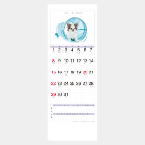 YK-2044　ワンダフルランド 1