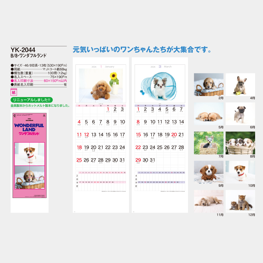 YK-2044　ワンダフルランド 5