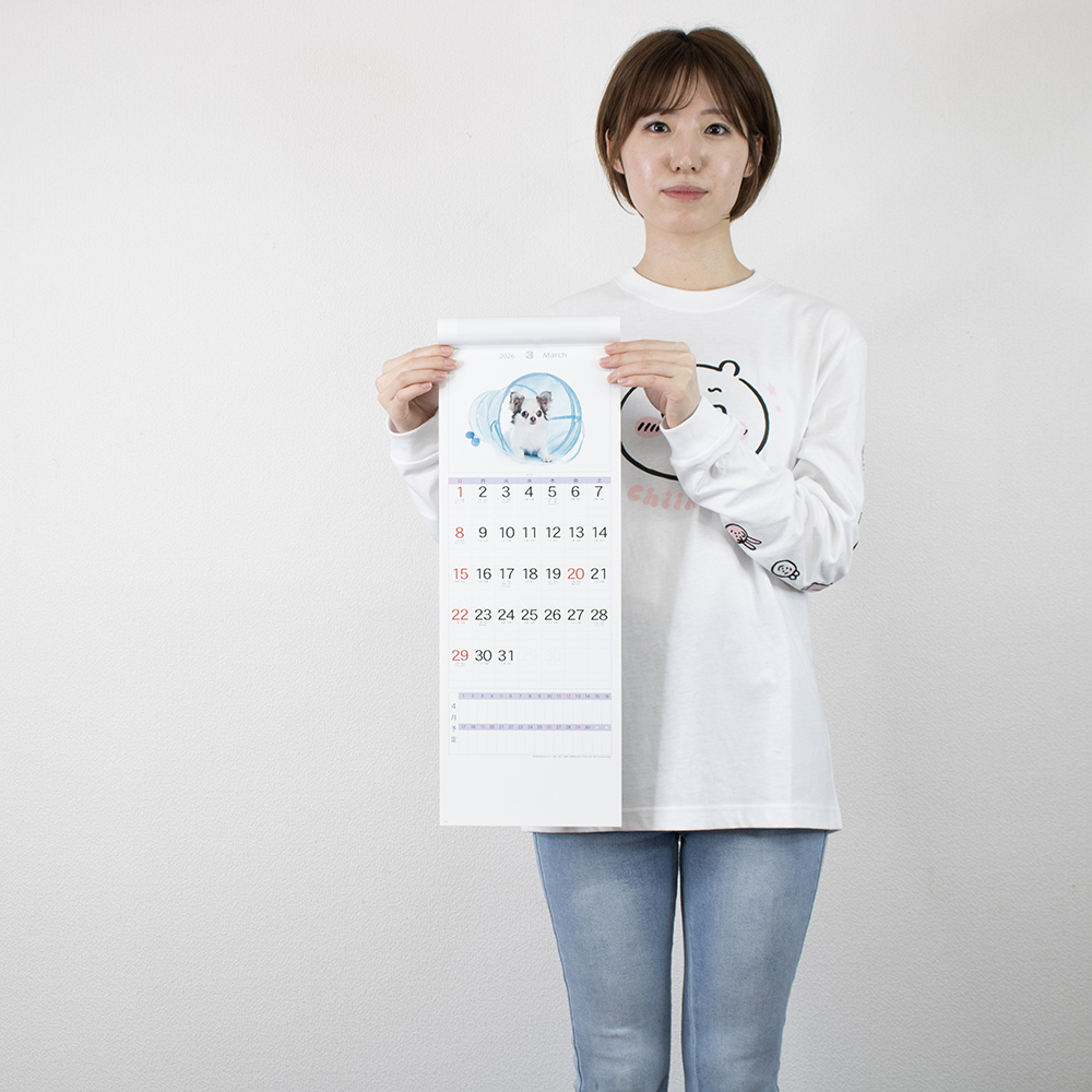 YK-2044　ワンダフルランド 4