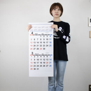 YK-650　Ⅱマンスリー文字 4