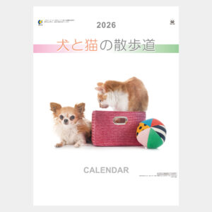 YK-730　犬と猫の散歩道 2