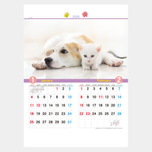 YK-730　犬と猫の散歩道 1